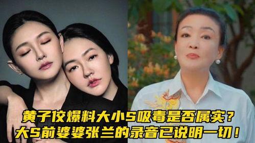 大s吸毒的最新爆料,最新爆料揭露惊人内幕 第2张 大s吸毒的最新爆料,最新爆料揭露惊人内幕 第2张